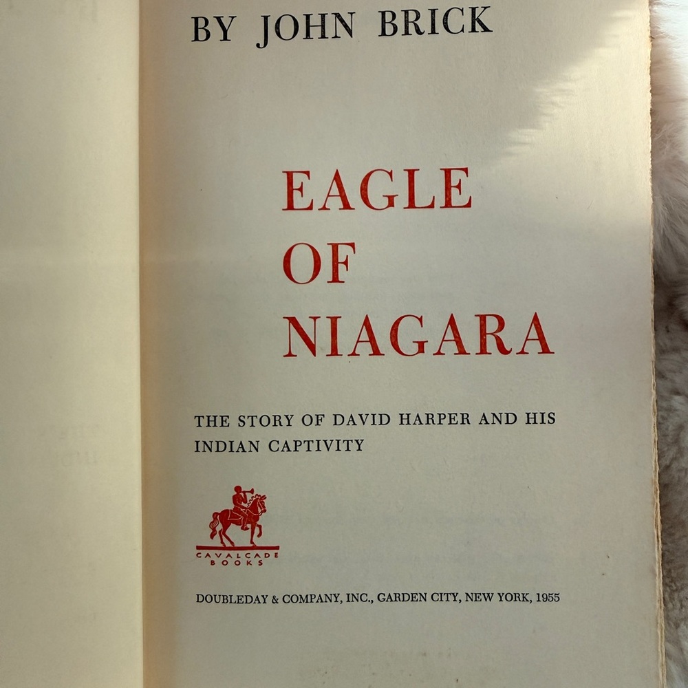 Eagle of Niagara by John Brick